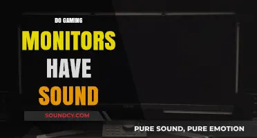 Do Gaming Monitors Have Sound? Exploring Audio Features in Gaming Displays