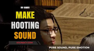 Unraveling the Myth: Do Gangs Really Make Hooting Sounds?