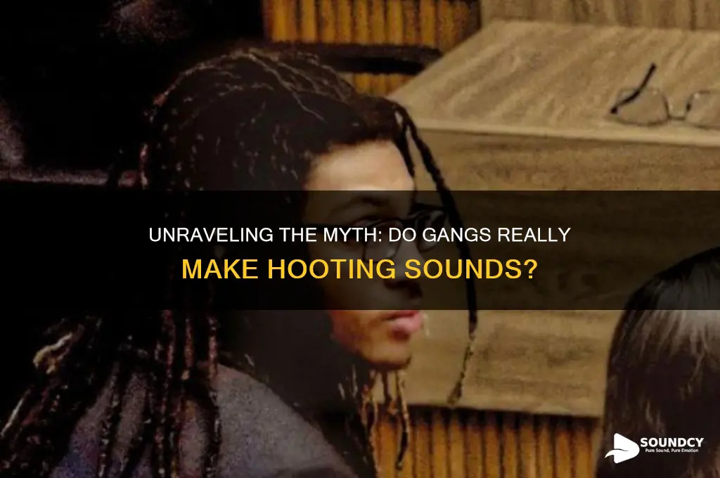 do gangs make hooting sound