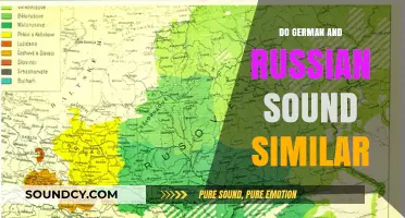 German and Russian: Similar or Distinct?