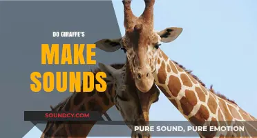 Unveiling the Mystery: Do Giraffes Make Sounds and How?