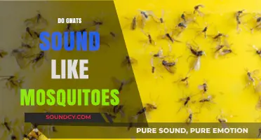 Gnats vs. Mosquitoes: Unraveling the Buzzing Sound Mystery