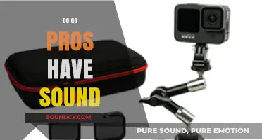 Do GoPros Record Audio? Unveiling the Sound Capabilities of Action Cameras