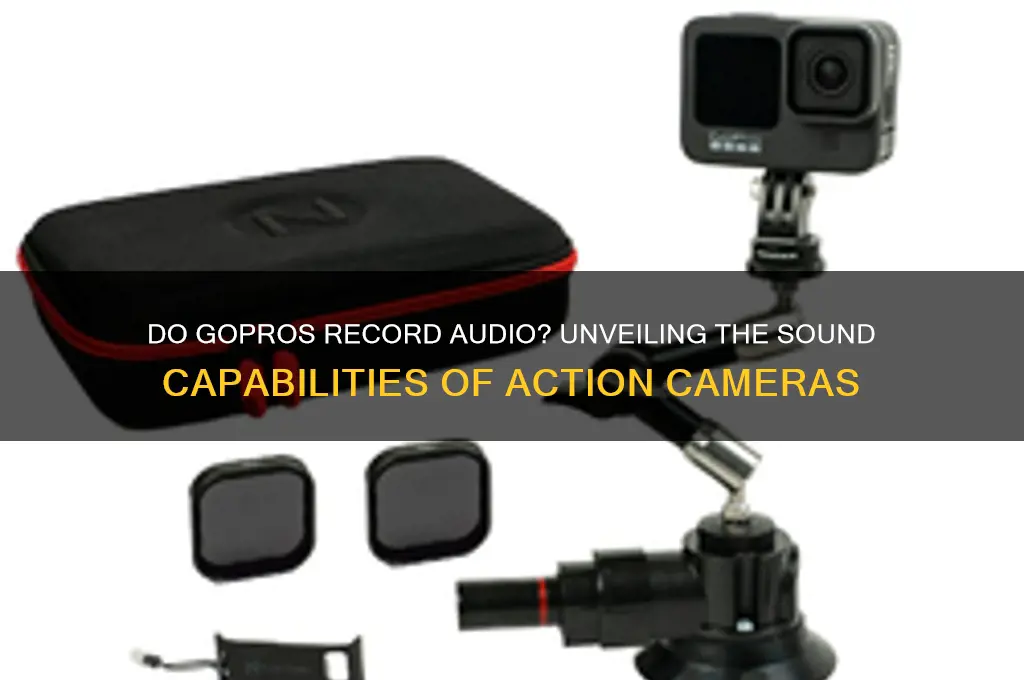 do go pros have sound