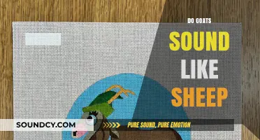 Goats vs. Sheep: Unraveling the Unique Sounds of These Farm Animals