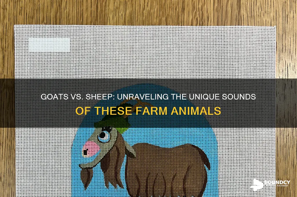 do goats sound like sheep