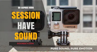 GoPro Hero Session: Sound or Silence?