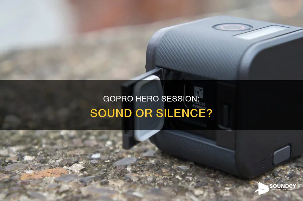 do gopros hero session have sound