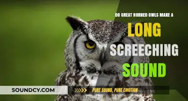 Do Great Horned Owls Produce a Long Screeching Sound?
