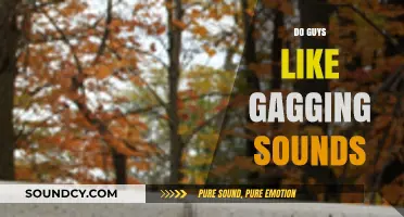 Do Guys Like Gagging Sounds? Exploring Preferences and Consent