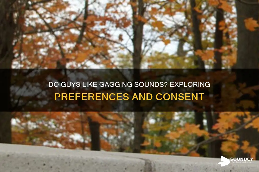 do guys like gagging sounds