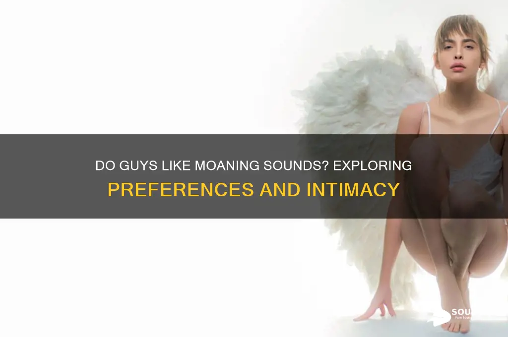 do guys like moaning sounds
