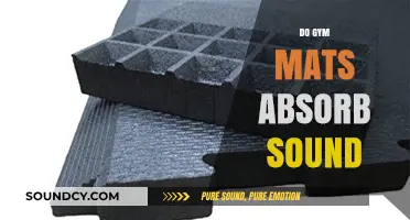 Do Gym Mats Absorb Sound? Exploring Noise Reduction in Fitness Spaces