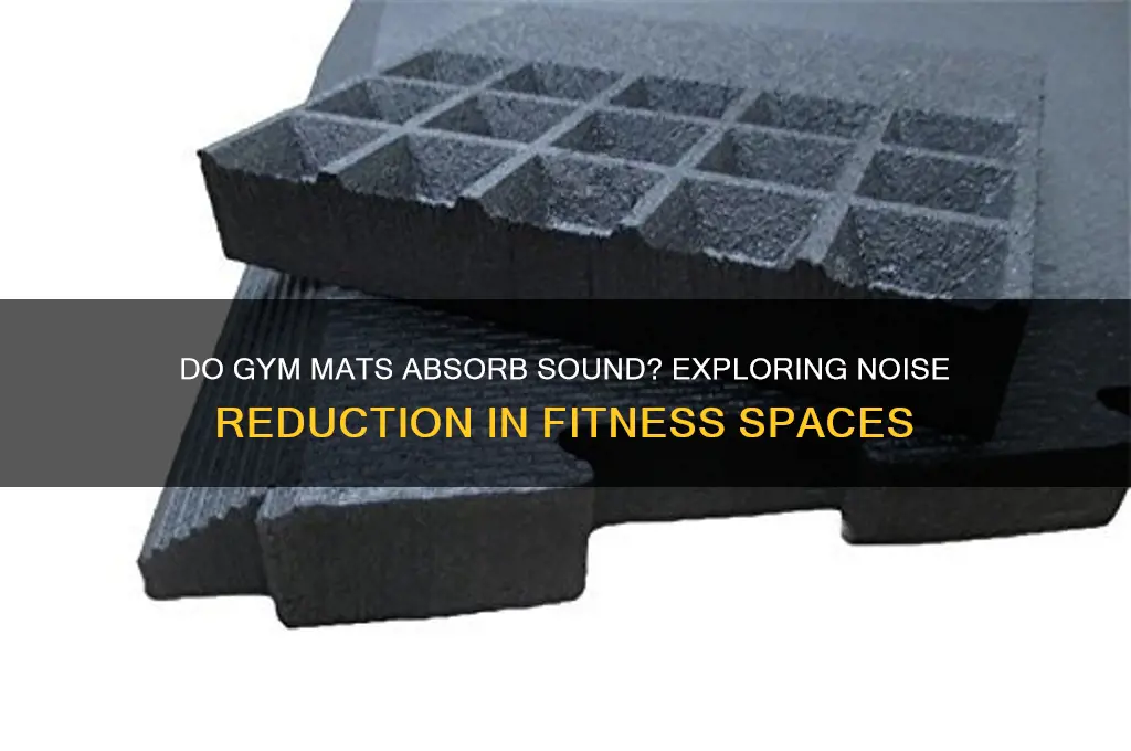 do gym mats absorb sound