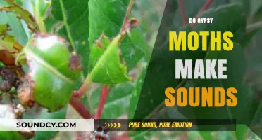 Do Gypsy Moths Make Sounds? Unveiling the Truth About Their Communication