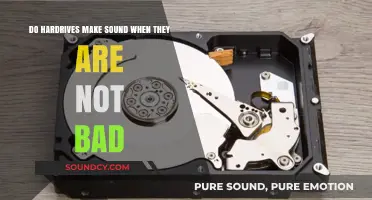 Do Hard Drives Make Noise When Functioning Normally?