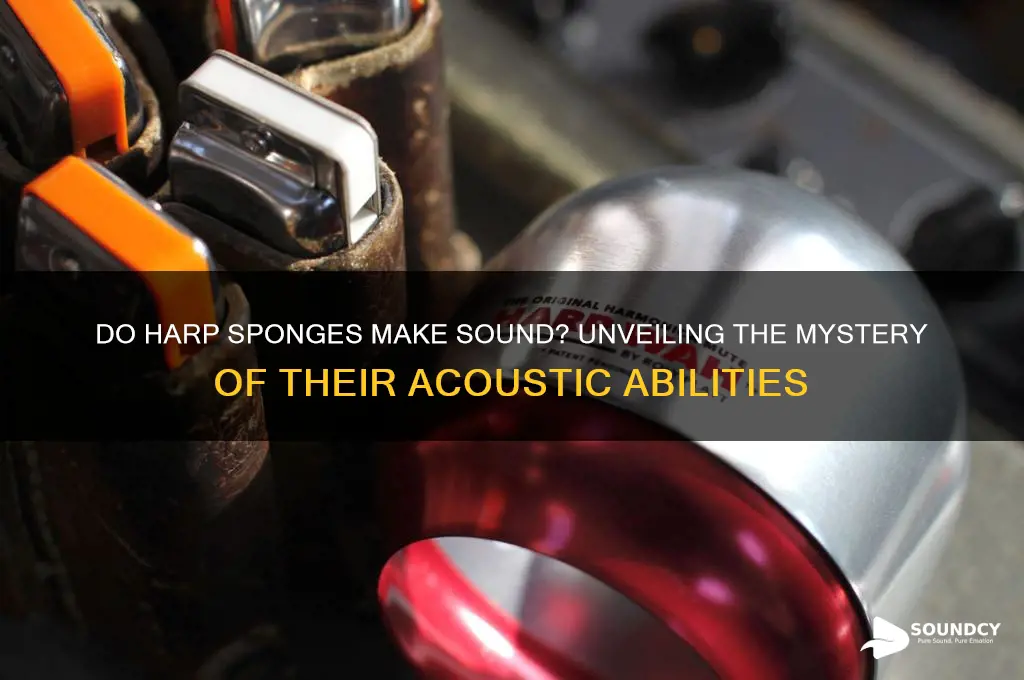do harp sponges make sound