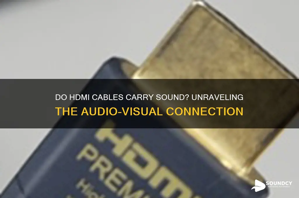 do hdmi cable carry sound