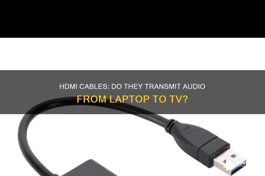 do hdmi cables carry sound from laptop to tv