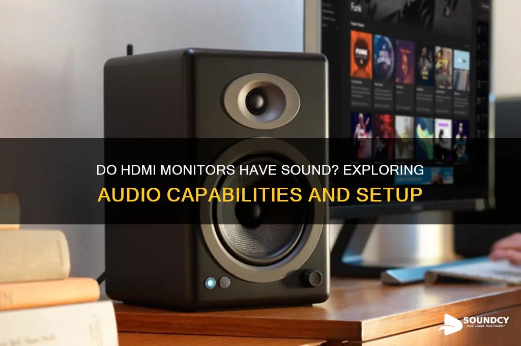 do hdmi monitors have sound