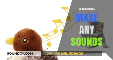 Unveiling the Quiet World: Do Hedgehogs Make Any Sounds?