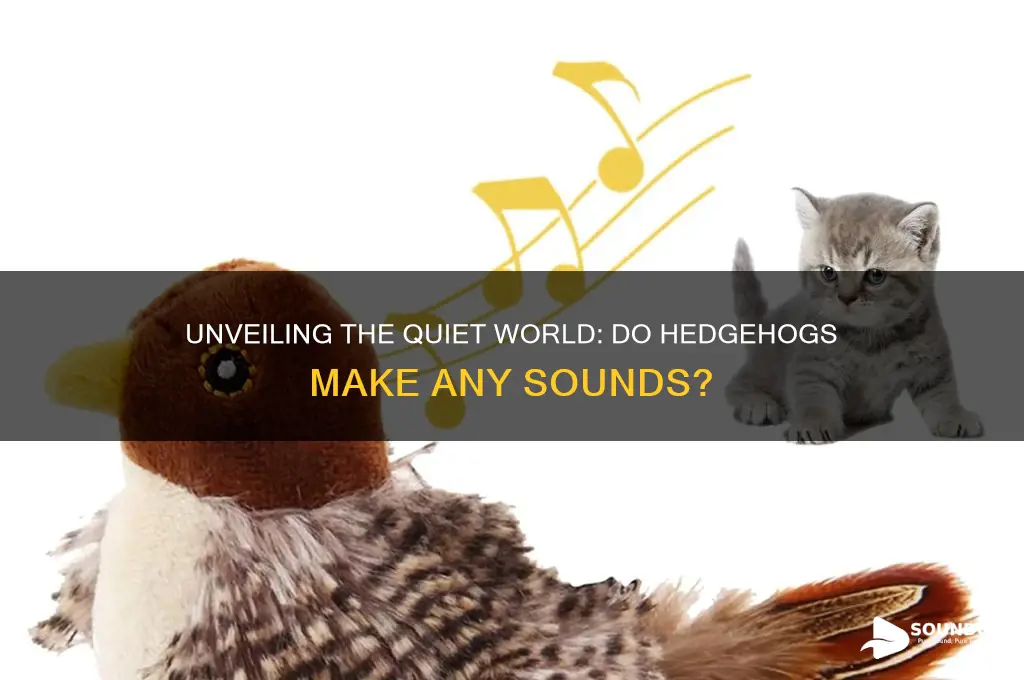 do hedgehogs make any sounds