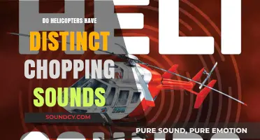Helicopter Sounds: Distinct Chop or Not?