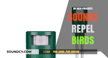 How High-Frequency Sounds Affect Birds