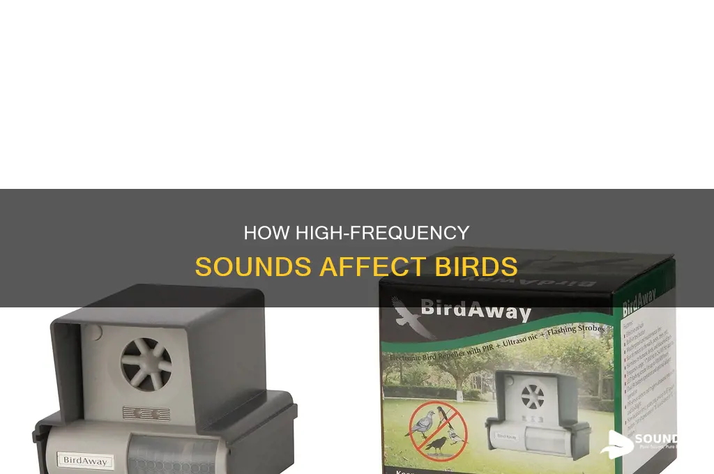 do high-frequecy sounds repel birds