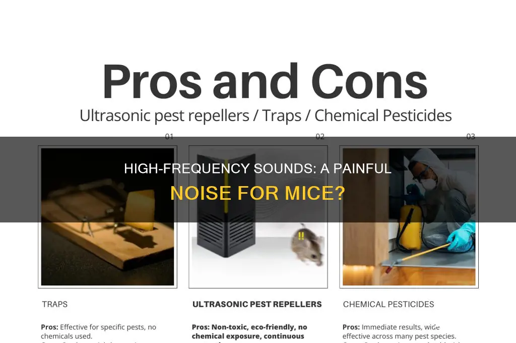 do high frequency sounds hurt mice
