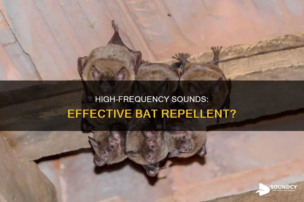 do high frequency sounds repel bats