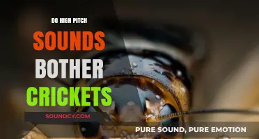 High-Pitch Sounds: Crickets' Kryptonite?