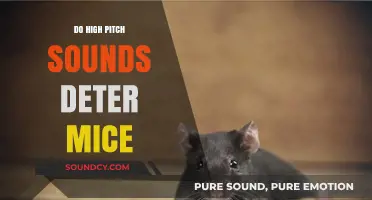 High-Pitched Sounds: Effective Mice Deterrent or Myth?