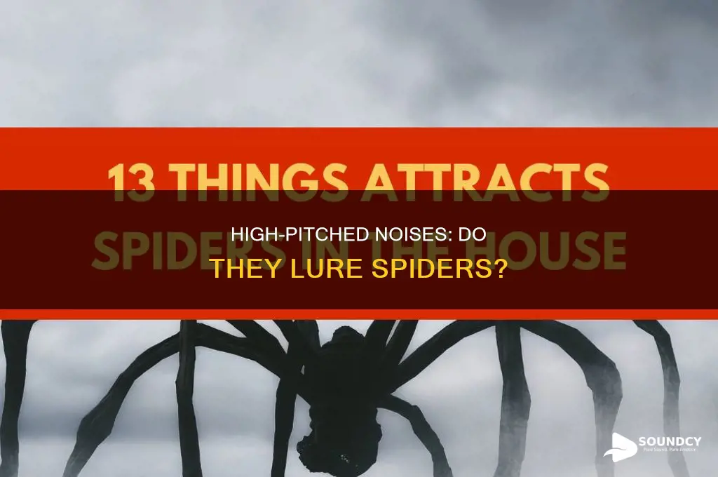 do high pitched sounds attract spiders