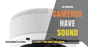 Do Hikvision Cameras Have Sound? Exploring Audio Features and Capabilities