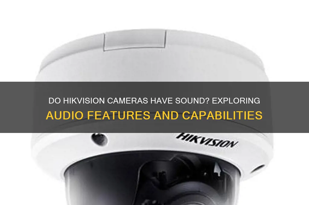 do hikvision cameras have sound