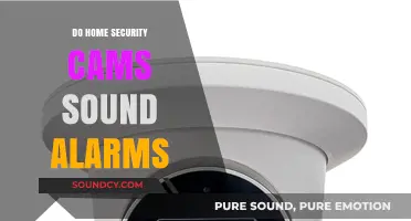 Home Security Cams: Do They Sound Alarms?