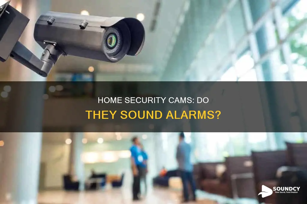do home security cams sound alarms