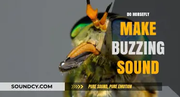 Do Horseflies Buzz? Unraveling the Mystery of Their Noisy Flight