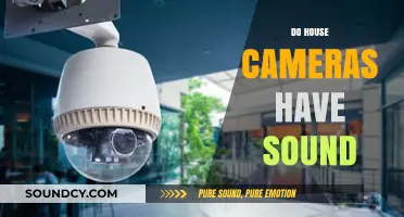 Do House Cameras Have Sound? Exploring Audio Features in Home Security