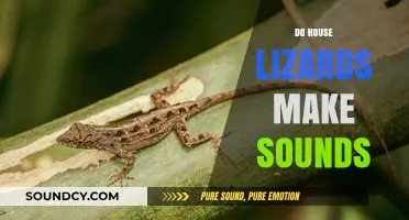 Do House Lizards Make Sounds? Unveiling Their Vocal Abilities