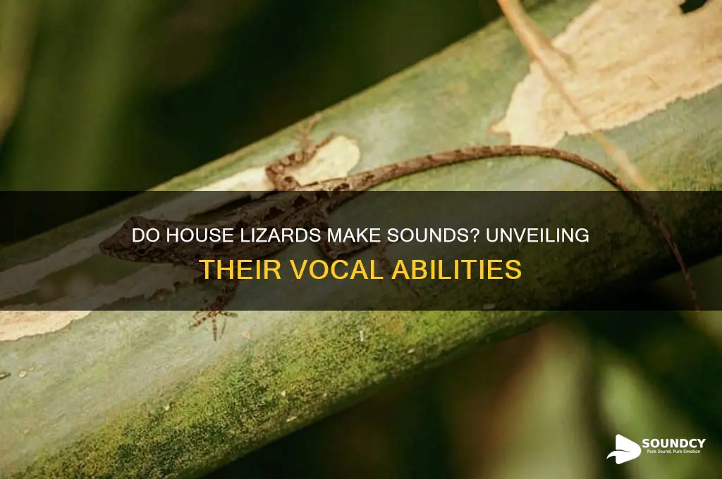 do house lizards make sounds