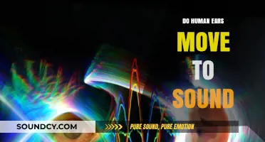 How Human Ears Move to Sound
