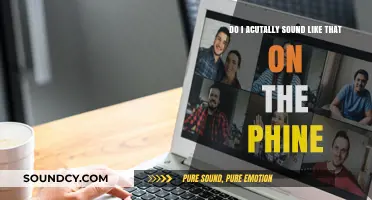 Do I Really Sound Like That? Unveiling Your Phone Voice