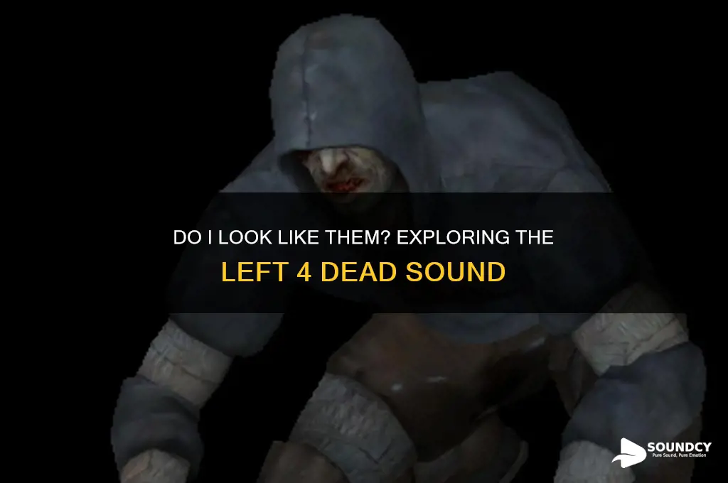 do i look like them left 4 dead sound