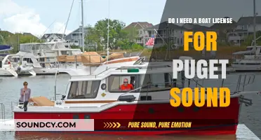 Navigating Puget Sound: Do You Need a Boat License?