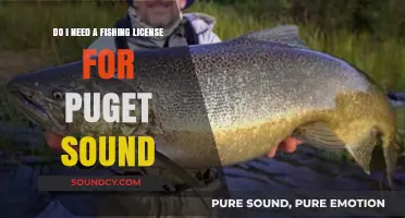 Fishing License Requirements for Puget Sound: What You Need to Know