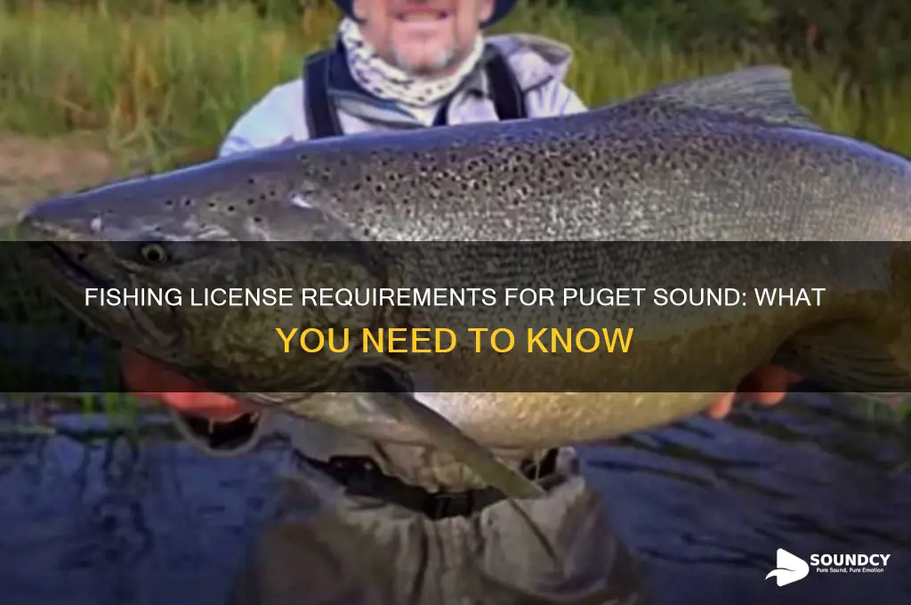 do i need a fishing license for puget sound