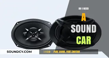 Sound Cars: A Need or a Want?
