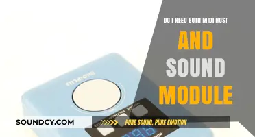 MIDI Host vs. Sound Module: Do You Need Both for Music Production?